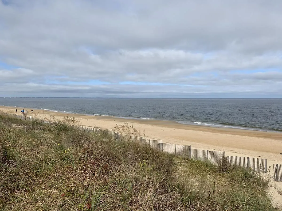 Apartment Loft At The Beach Apts North Camellia Acres United States